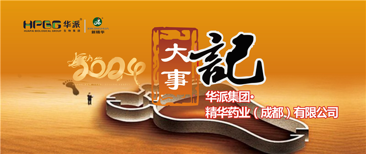 2024履迹 | 华派集团·耀彩网药业2024年大事记